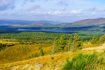 Fototapeta na wymiar Forest and lakes landscape of Cairngorms National Park