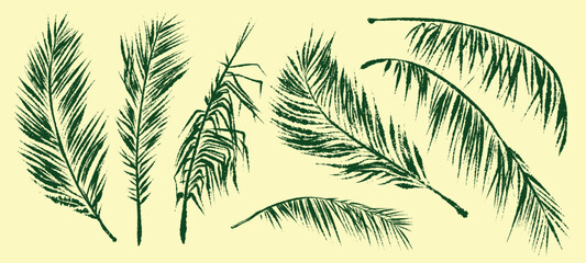 Naklejka na ściany i meble Palm trees. Textured ink brush drawing. illustration