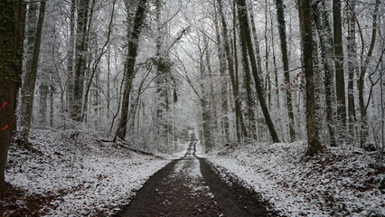 Waldweg mit Schnee bedeckt