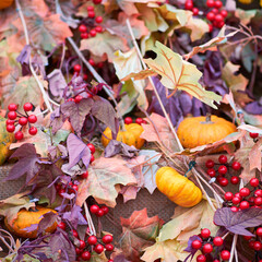 Harvest festival with autumn pumpkins and vegetables. Sale of agricultural crops on the outdoor market after the holiday