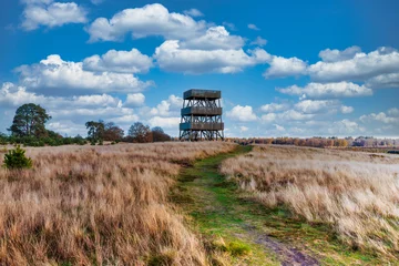 Fototapeten Publicly accessible lookout tower in Het Aekingerzand part of the Nationaal Park Drents-Friese Wold with a view over the sand drifts called the Kale Duinen and beautiful heaths © photodigitaal.nl