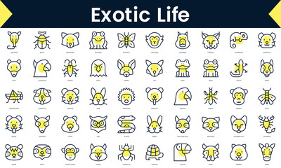 Set of thin line exotic life Icons. Line art icon with Yellow shadow. Vector illustration