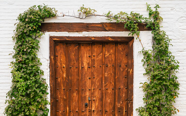 A beautiful wooden door surrounded by green foliage on a white brick textured background. Backdrop for graphic resource or decorative copy space.
