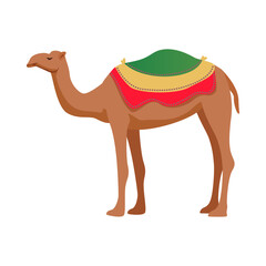Travel UAE Camel Composition