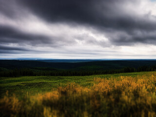 A storm is brewing somewhere in Denmark, generated by A.I.