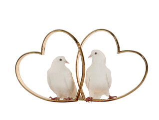two white doves with two hearts, symbol of love on a white background