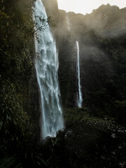 Waterfall next to Grand Étang, La Réunion