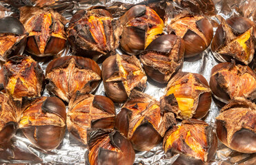 Typic Portuguese chestnut (Castanea sativa) roasted in selective focus and closeup. Christmas nuts 