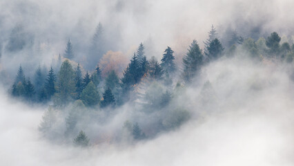 Misty forest valley in autumn morning. The Sulov Rocks, national nature reserve in northwest of Slovakia, Europe.