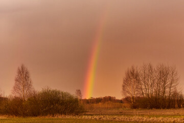 Rainbow sunset. Rainbow after a storm. Rainbow afternoon.