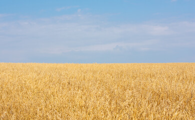 500px Photo ID: 1000254518