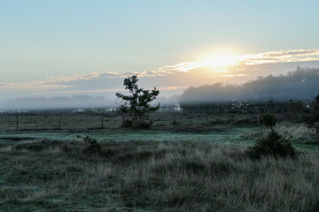 Sonnenaufgang in den D&uuml;nen am Meer