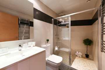Bathroom with large shower cabin with decorative artificial plant inside and mirror attached to the wall