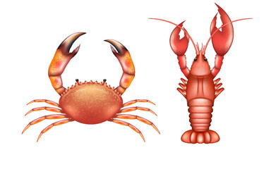 Sea crab and lobster realistic icons. Cooked red seafood ingredients for luxury restaurant menu