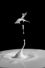 drops of milk colliding formed figures
