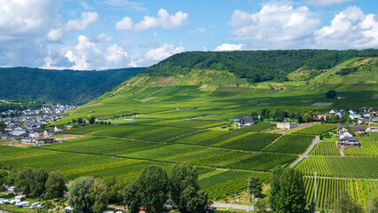 Landscape with vineyards and hills next to the Moselle river Germany