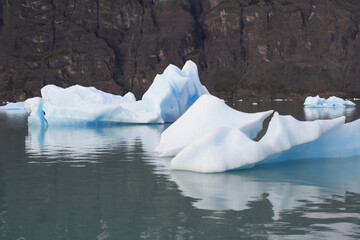 iceberg in polar regions