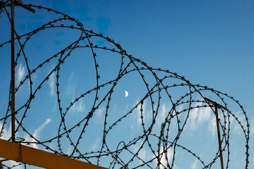 A fragment of a fence with coils of barbed wire on top against a light blue sky.