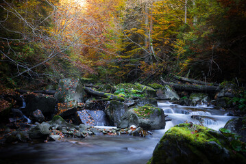 Kamienica Gorczański Park Narodowy © Grudnik Photography