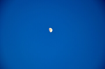 Moon seen from afar on a blue evening sky
