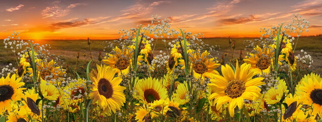 sunflowers flowers chamomile and lavender verbs and grass on meadow field at sunset nature landscape