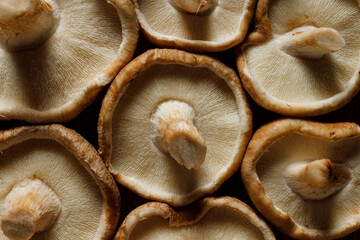 Fresh shiitake mushrooms, top view, close-up