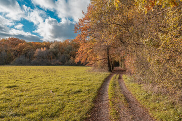 paysage rural en automne