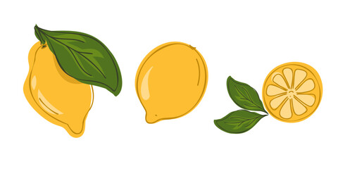 Set whole fresh lemon and slice. Vector illustration