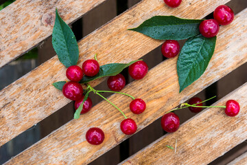 fresh cherries in raindrops on wooden boards