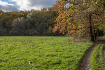 paysage rural