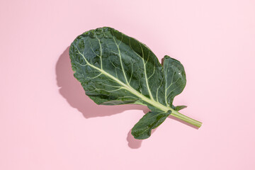 Collard greens leaf on pastel pink background. Winter vegetable for bone health. Natural source of...