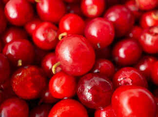 Close-up texture of cowberry berries. Natural background.