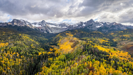 Fototapeta premium Rocky Mountains - Autumn golden aspen foliage near Ridgway Colorado - County Road 9 - on the RR Ralph Lauren ranch 