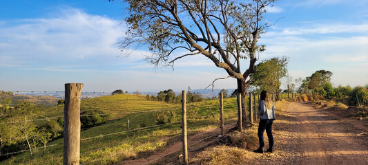 model woman enjoying the landscape of a sunny day in a cattle and eucalyptus farm, amid the dirt...