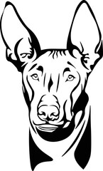 Black and White Cartoon Illustration Vector of a Weimaraner Puppy Dogs Face Head and Ears