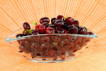 cornelian cherry (cornus mas)