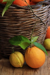 Still life with lemons and oranges, fresh and ripe citrus fruits on a wicker basket, vitamin C,...