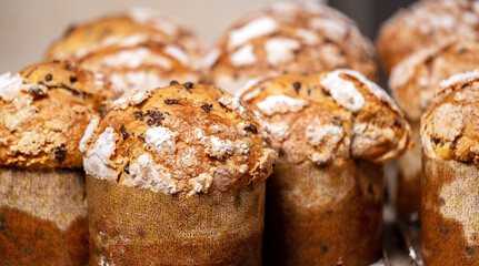 Italian Panettone bread, Christmas festive dessert. Close up. High quality photography.