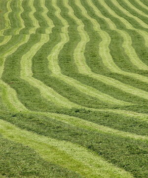 Patterns in mowed grass, Morell, Prince Edward Island, Canada