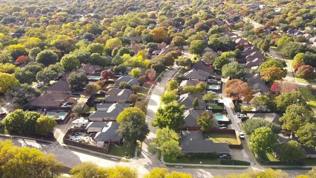 Quiet residential street situated between upscale single family homes with swimming pool and colorful fall foliage suburbs Dallas, Texas, US. Aerial established neighborhood with large fenced backyard