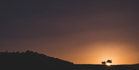 Obraz premium The sun disc sets behind a grassy hill with young trees, an atmospheric sunset for the background