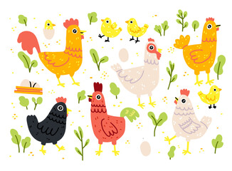Chicken vector cartoon chick character hen and rooster. Vector set of cute birds on white background. Chicken family made in simple doodle naive cartoon style.