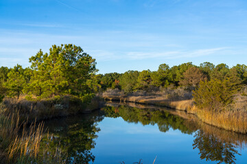 A Tidal Creek in Virginia Beach off of the Lynnhaven River at Golden Hour