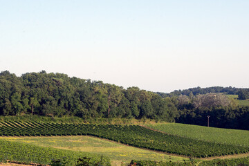 domaine de Certes