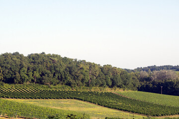 Obraz premium domaine de Certes