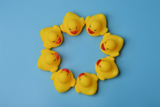 Toy ducks with circle shape. Business circle, friendly friends, unity and teamwork concept