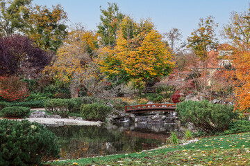 View of autumn park with trees, bridge and pond