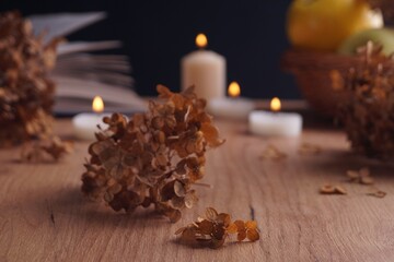 Dried hortensia flowers and burning candles on wooden table, closeup