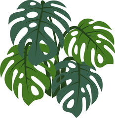 monstera leaves 4 pieces