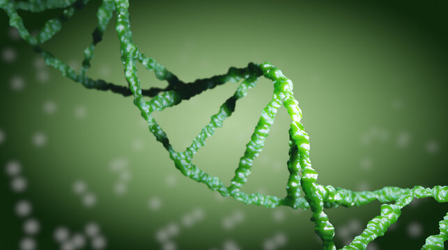 Structure of DNA on green background. Illustration